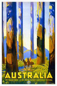 Australia - The tallest trees in the British Empire vintage poster without frame