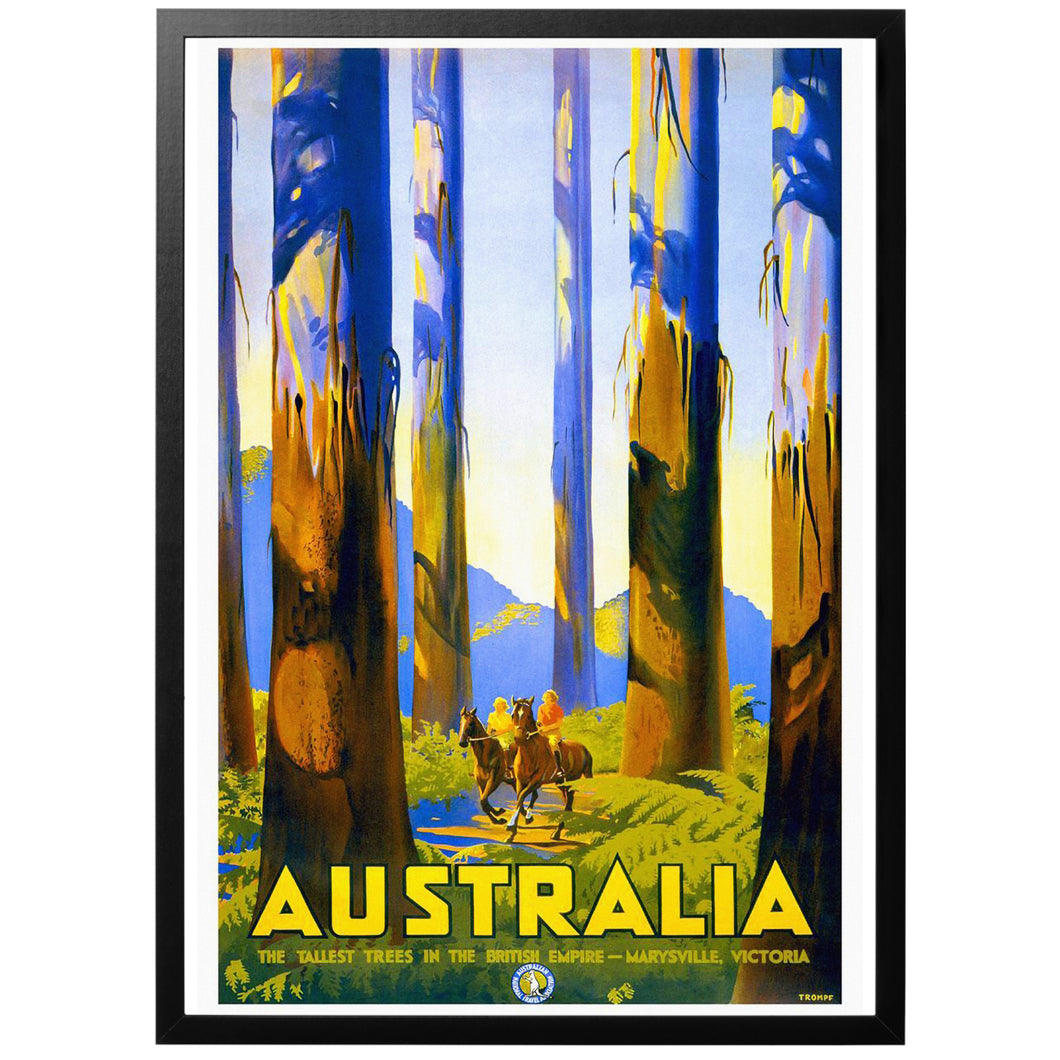 Australia - The tallest trees in the British Empire vintage poster with frame