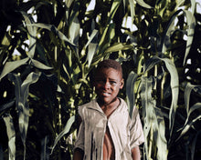 Load image into Gallery viewer, Young boy in the corn Poster - World War Era 
